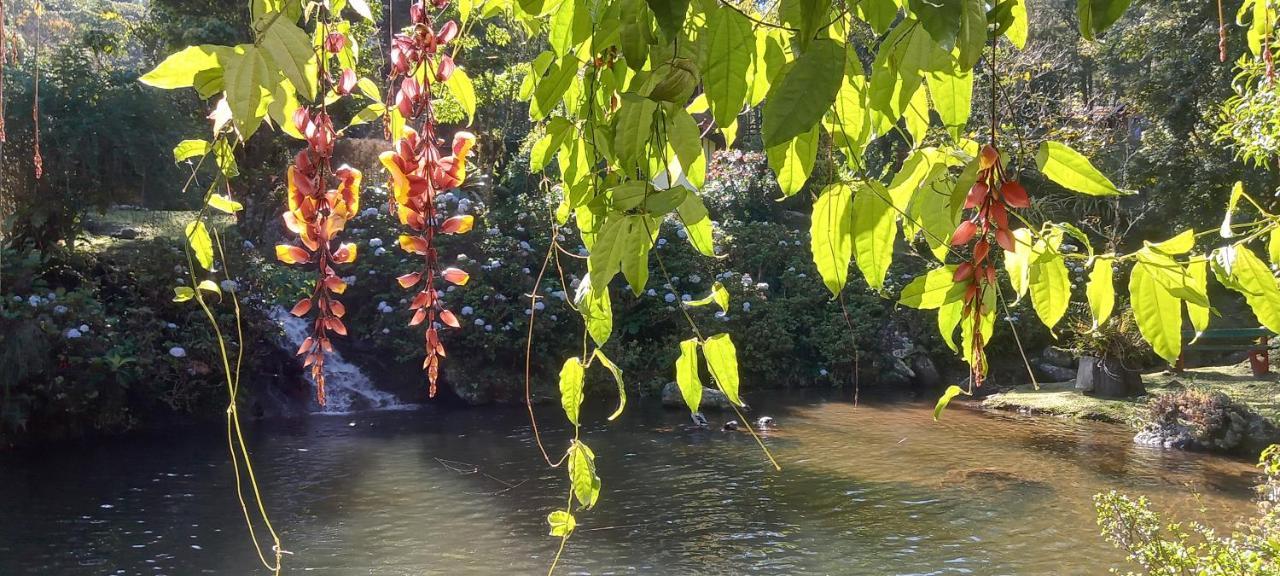 Espirito Das Aguas Chales Лумиар Екстериор снимка